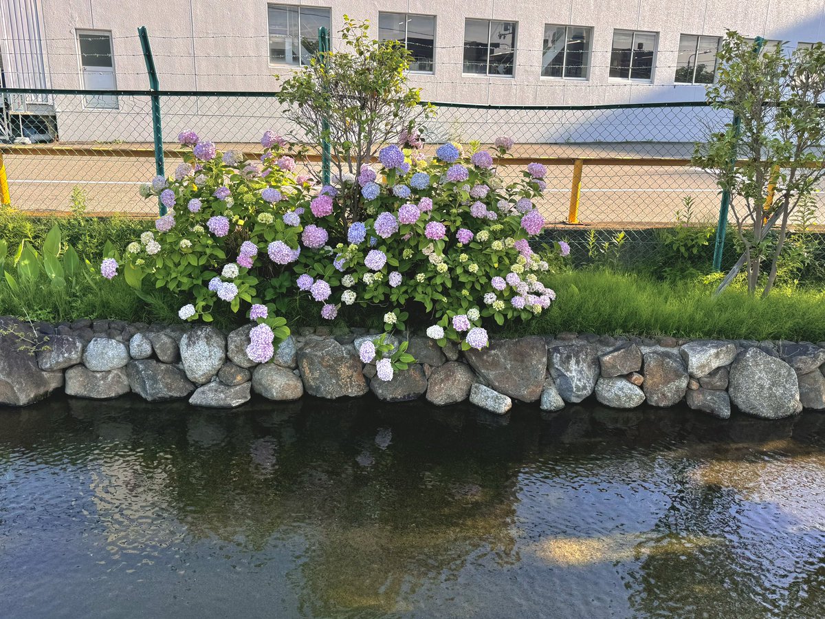 最近まじで写真撮ってないなぁ🌱