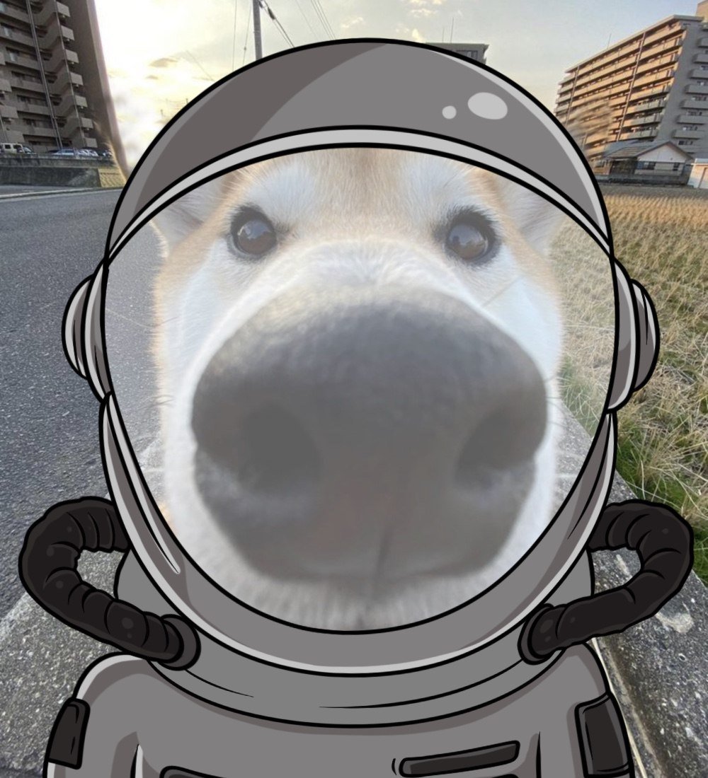 KuriboCoin's tweet photo. @lynk0x i am moon ready! $kuribo https://t.co/94mQnvtee4