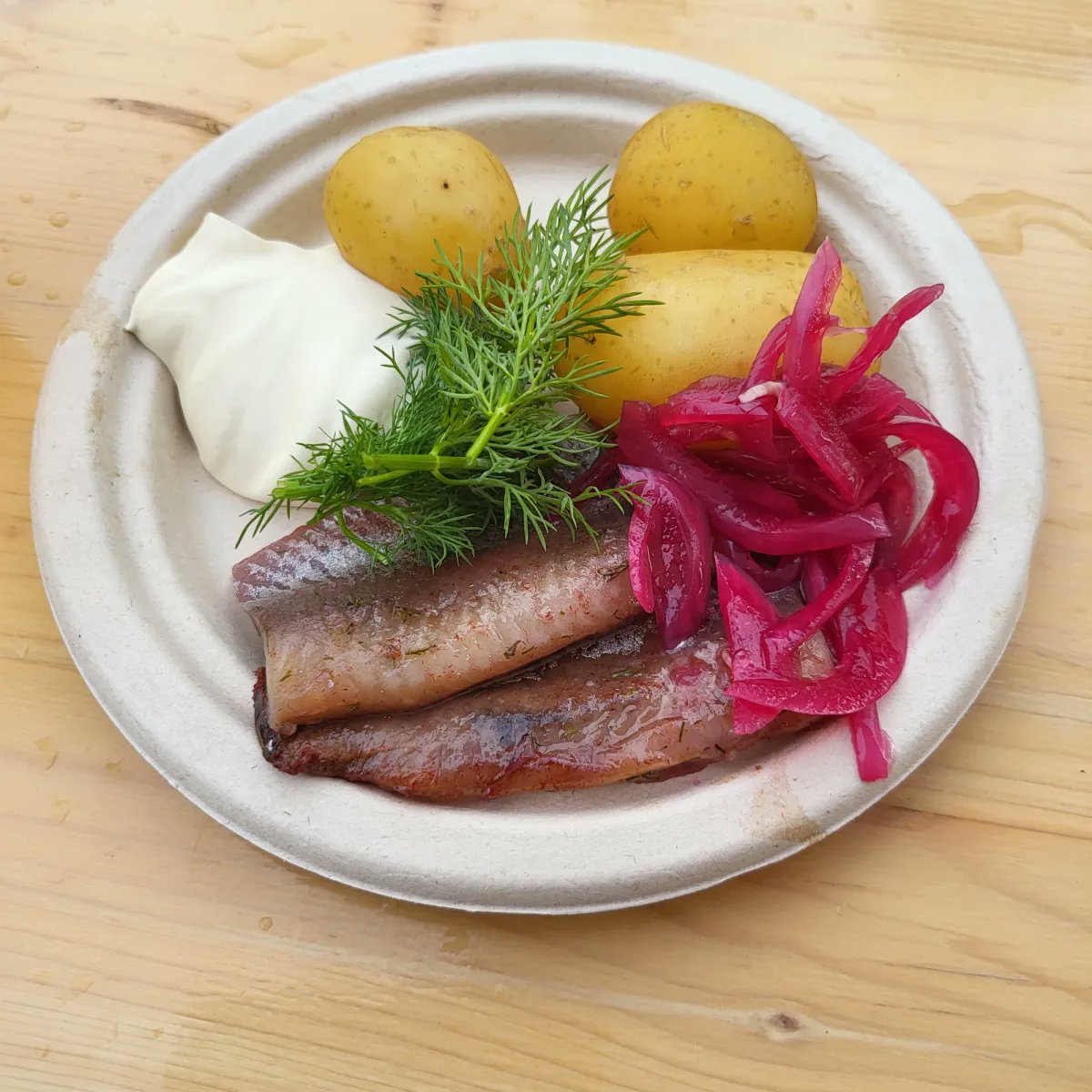 AudunVinger's tweet photo. Psykedelisk psauna i Moss denne helgen - har en liten rapport om en dag på Lyse Netter-festivalen her https://t.co/1MNs0E8wLX https://t.co/TqztktUD50