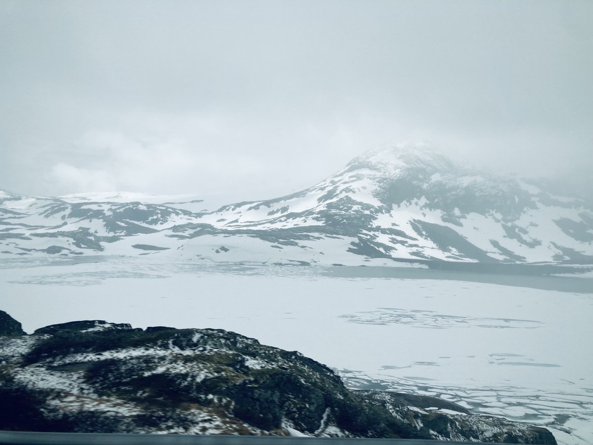 Penny Fray tweet media