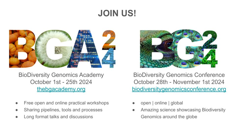 It’s only June and we already have 20 fantastic sessions confirmed for BGA24! These cover manual-curation, assembly pipelines, annotation, tools for manipulation and exploration and more! You can find out more at thebgacademy.org! 
#BGA #bioinformatics #EBP #genomics