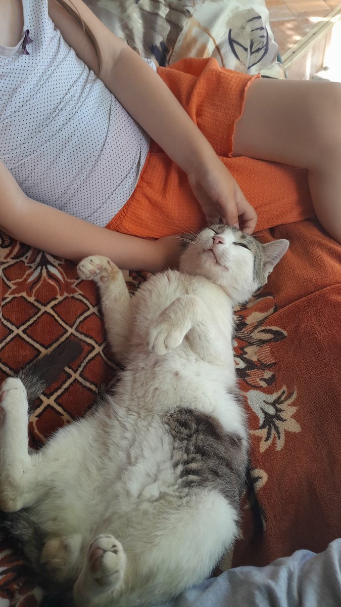 minawonz's tweet photo. Cat is so cute, I almost forgot that I'm a mentally ill teenager https://t.co/G9hEPbti2b
