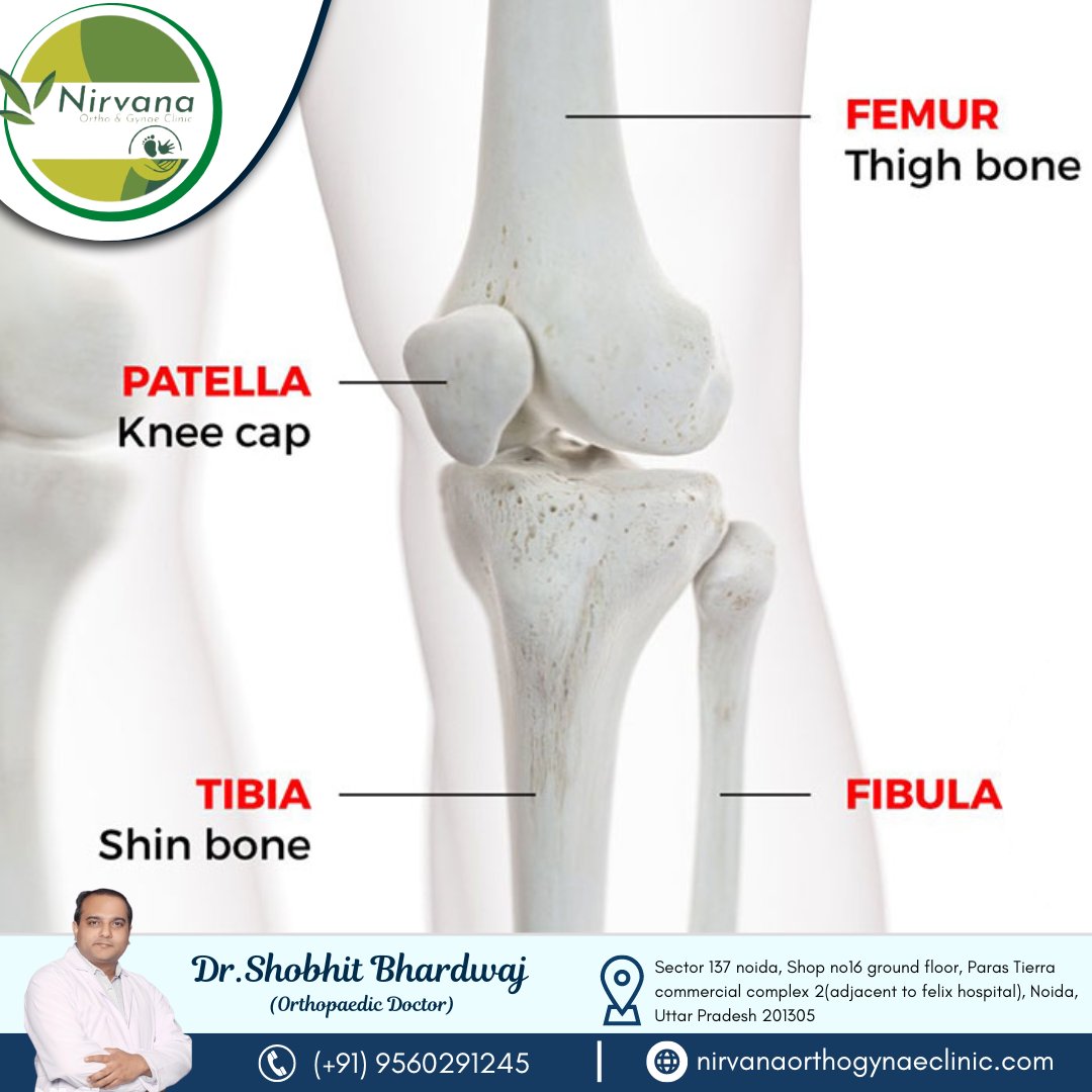nirvanaclinics's tweet image. Bones of the Knee “The Framework”

📌 FEMUR (Thigh Bone)
📌 PATELLA (Knee Cap)
📌 TIBIA (Shin Bone)
📌 Fibula
-
Book an appointment today 📲 By Calling 0120-4153221, +919560291245, or
8700518439.
-
#Bones #Knee #TheFramework #jointreplacement #KneePain #promptsolution