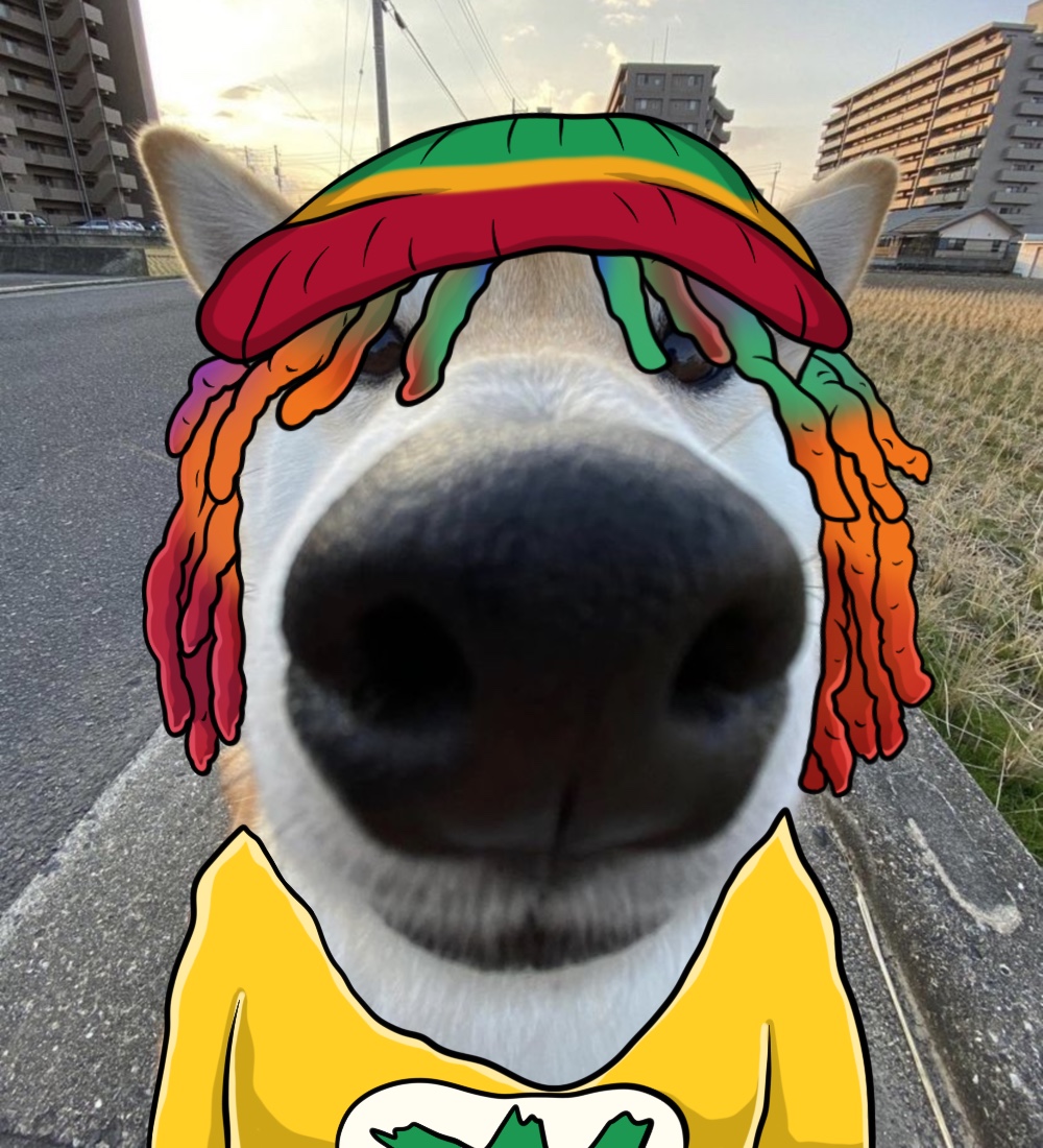 KuriboCoin's tweet photo. smoke da zaza

hold da memecoin

$KURIBO https://t.co/P5vvmHuHb7