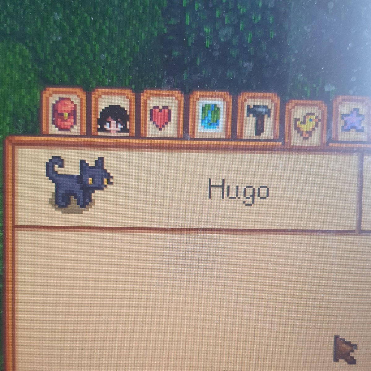 Gram w farmę tak jak nakazuje prawo grania w farmę 🏳️‍🌈 
Belle I jej bby girl ft. Ja jako kot 😼