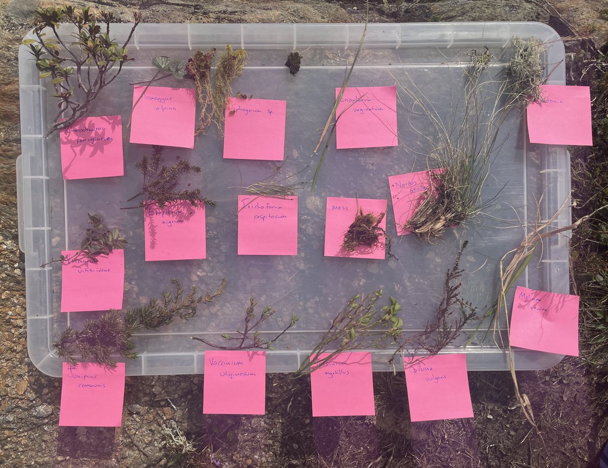 Ed Garrett tweet media