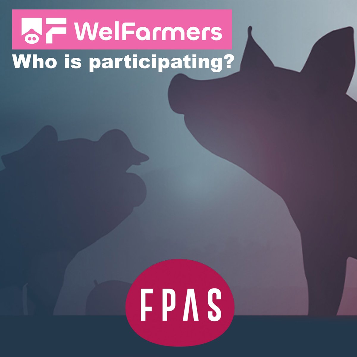 The Portuguese Federation of Pig Farmers Association has in its mission the study and follow-up of question related to Portuguese pig farming. Thanks for joining the WelFarmers Project!

#welfarmers #pig #pigs #porcine #animalwelfare #pigwelfare #farm #farms #pork #3tres3 #fpas