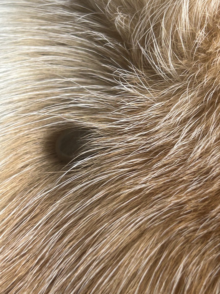 Spencer Pitts tweet media