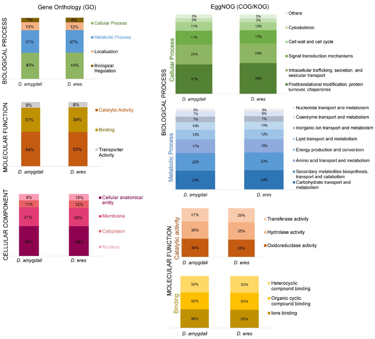 JoF_MDPI's tweet image. 📣🫐🫐Research article in JoF
&quot;Genome Analyses of Two Blueberry Pathogens: 𝘋𝘪𝘢𝘱𝘰𝘳𝘵𝘩𝘦 𝘢𝘮𝘺𝘨𝘥𝘢𝘭𝘪 CAA958 and 𝘋𝘪𝘢𝘱𝘰𝘳𝘵𝘩𝘦 𝘦𝘳𝘦𝘴 CBS 160.32&quot;
Read the full-text here: 
mdpi.com/2309-608X/8/8/…
#Blueberry #FungalPathogen #Genome