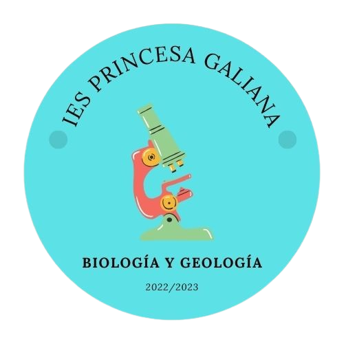 Galiana Presenta tweet media
