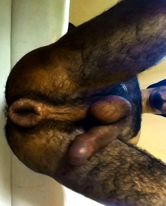 If you ever feel demotivated to stretch your hole, remember that you could look like this. 

(Anyone know whose pic this is?)