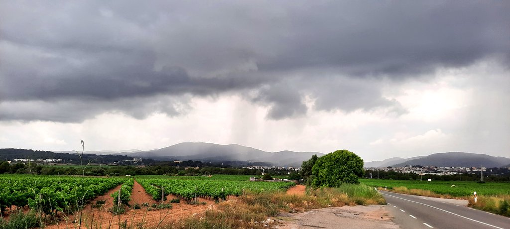 Vakapiupiu's tweet image. 2 xàfecs forts per #Ribes #Garraf
El primer només al centre i est de Ribes. 11.15 h
El segon 13 h pel centre i nord,  des del Montgròs i Canyelles fins a Olivella.
Sud de Ribes,  terra sec. Ni una gota!
