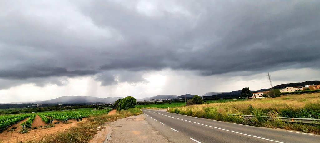 Vakapiupiu's tweet image. 2 xàfecs forts per #Ribes #Garraf
El primer només al centre i est de Ribes. 11.15 h
El segon 13 h pel centre i nord,  des del Montgròs i Canyelles fins a Olivella.
Sud de Ribes,  terra sec. Ni una gota!