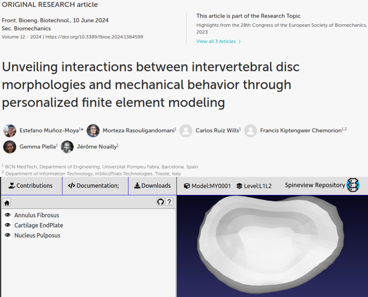 I am pleased to share my latest publication (📌 lnkd.in/dQGjNEtE) <a href="/FrontBioeng/">Frontiers - Bioengineering and Biotechnology</a>.

📌 SpineWebRepo: lnkd.in/dngjtSBS

Thanks: <a href="/GemmaPiella/">GEMMA PIELLA FENOY</a>, <a href="/JeromeNoailly/">Jerome Noailly</a>, <a href="/MortezaRG/">Morteza Rasouligandomani</a>, <a href="/fkchemorion/">Francis Chemorion</a>, <a href="/Disc4all_EU/">Disc4All EU Project</a>, <a href="/MSCActions/">Marie Skłodowska-Curie Actions</a>, <a href="/BCN_MedTech/">BCN MedTech</a>, <a href="/InSilicoTrials/">InSilicoTrials</a>, <a href="/ISSLS_Society/">ISSLS</a>, <a href="/ESBiomech/">European Society of Biomechanics</a>