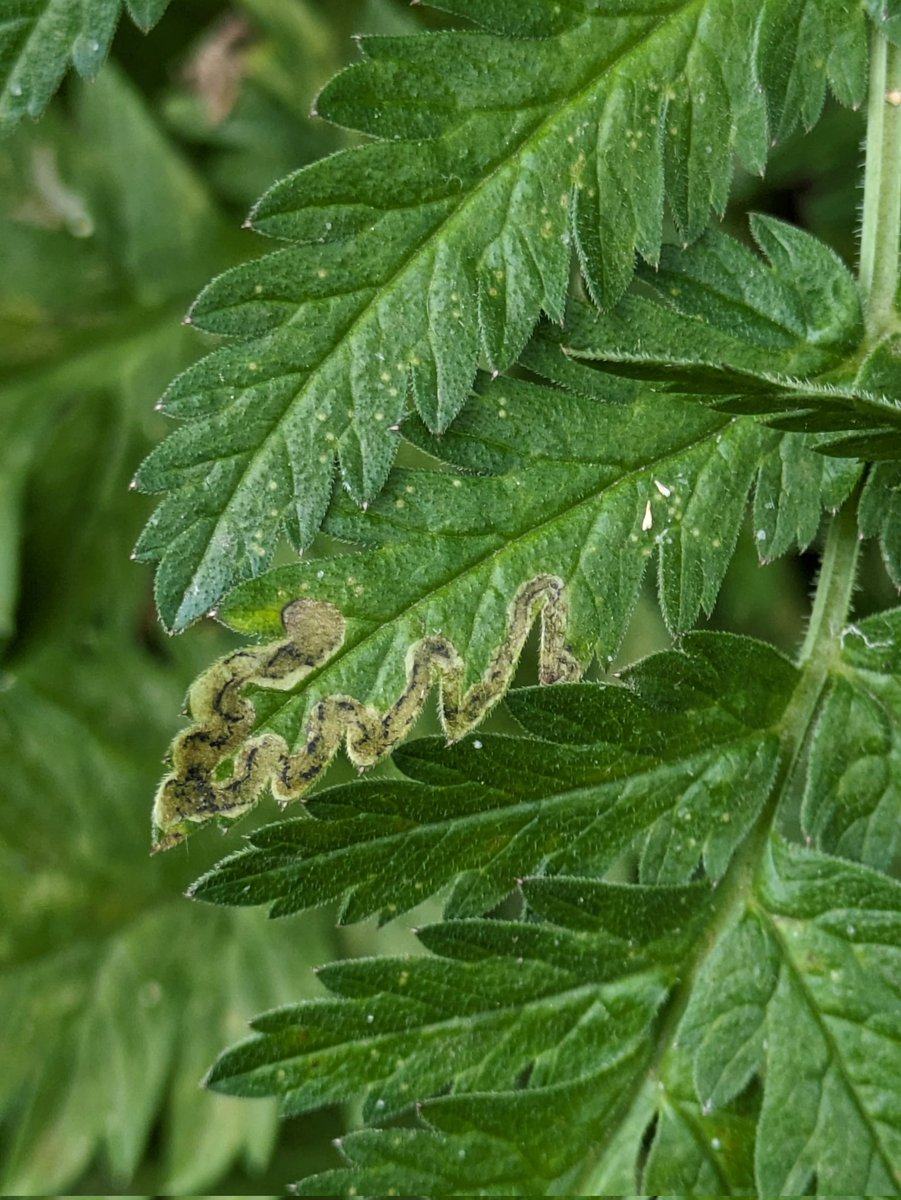 Adam Parker tweet media