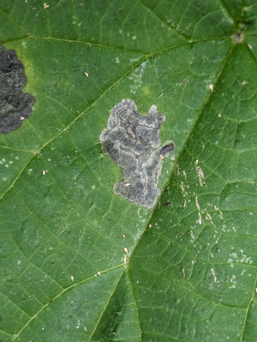 Adam Parker tweet media