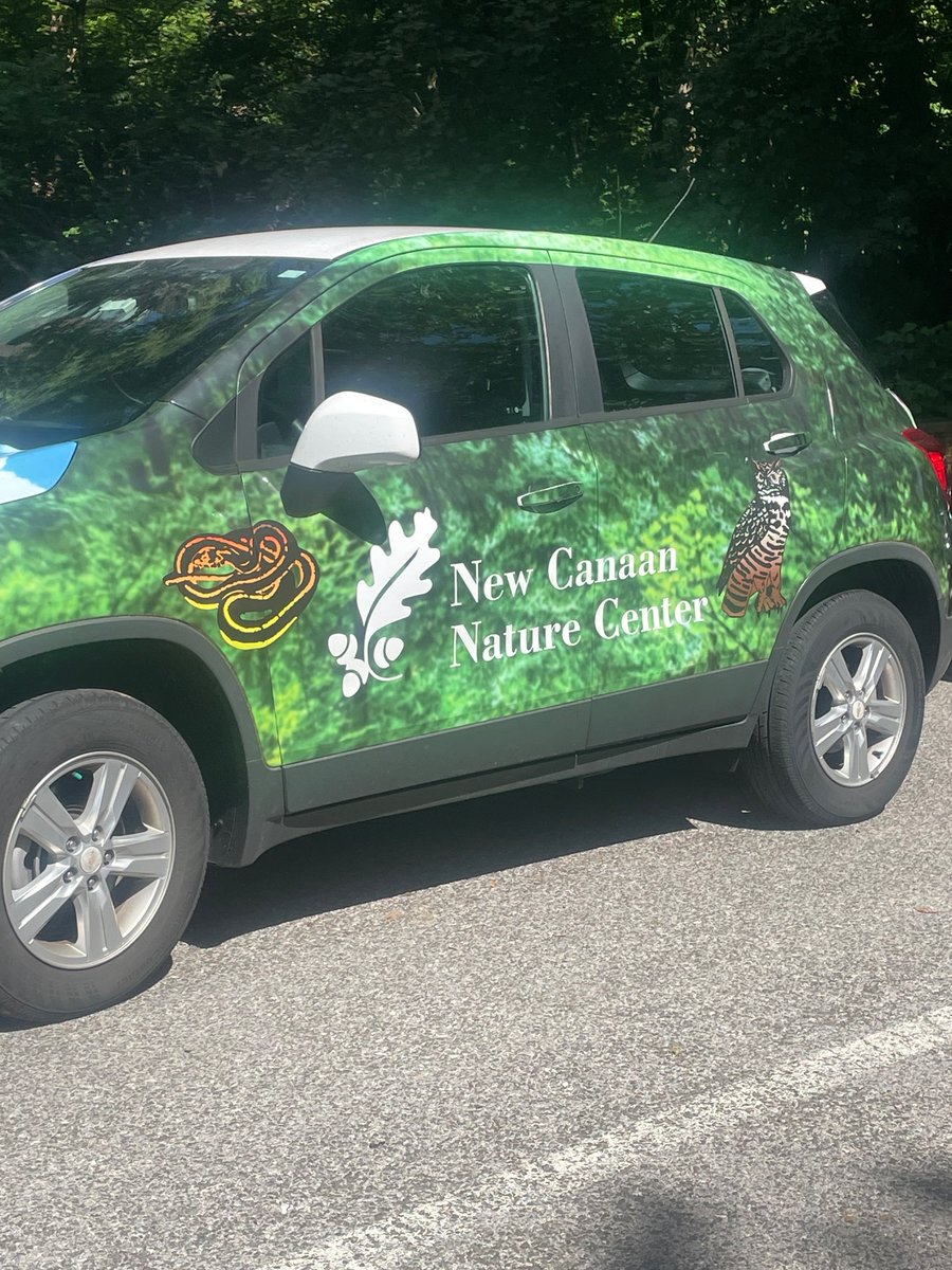 JLevidisPC's tweet image. Thank you to our instructional specialists @GinaDepperman @ebaisley_PC and our building administrators who collaborate and work together to bring these partnerships and experiences to our students! Thank you to New Canaan Nature Center.