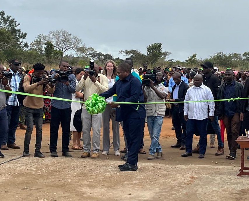 Romana Königsbrun tweet media