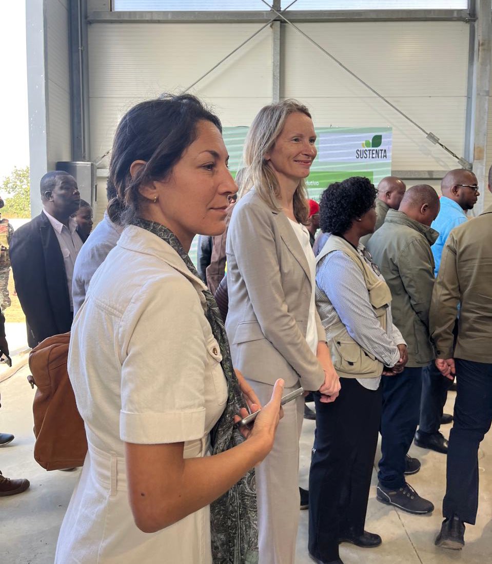 Romana Königsbrun tweet media