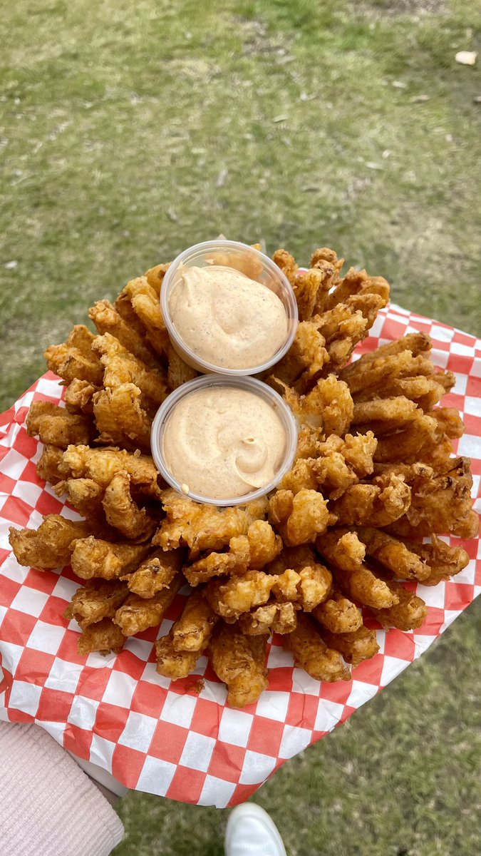 Ribfest this past weekend, the bloomin’ onion stole the show 😋