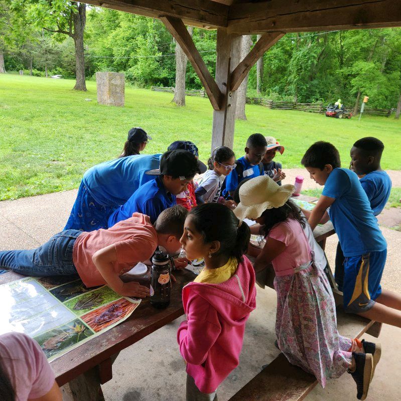 McNair Elementary (PreK-2) (@fcpsmcnaires) on Twitter photo Our curious 2nd graders were engaged in their learning at E.C. Lawrence Park! They explored the wonders of nature and discovered the fascinating world of reptiles and amphibians! <a href="/fcpsnews/">Fairfax Schools 🌟</a> <a href="/FCPSR5/">FCPS Region5</a> #OneTeamOneDream #MustangsThrive Our curious 2nd graders were engaged in their learning at E.C. Lawrence Park! They explored the wonders of nature and discovered the fascinating world of reptiles and amphibians! <a href="/fcpsnews/">Fairfax Schools 🌟</a> <a href="/FCPSR5/">FCPS Region5</a> #OneTeamOneDream #MustangsThrive