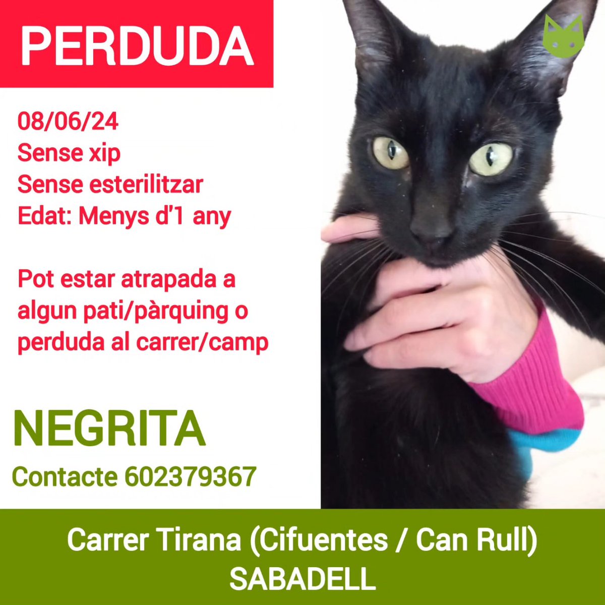 ProgatSabadell's tweet photo. Ens ajudeu a trobar-la?
🚨Es diu Negrita, gata sense xip, sense esterilitzar.
👉Al c/ Tirana (Cifuents / Can Rull - Sabadell)
☎️Contacte 602379367
🙏Ajudeu compartint i buscant-la per la zona/pàrquings/patis.
#gatperdut #perdut #esbusca #sabadell #ajuda #xarxabarcelonaperduts https://t.co/4hUMCyJ6cx