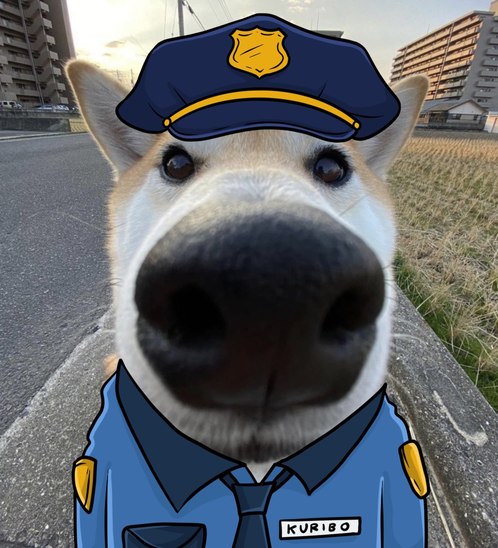 KuriboCoin's tweet photo. Ser u have been arrested for fumbling.

Hands behind your back u going to the cage.

$KURIBO https://t.co/EDWTRJlu4n