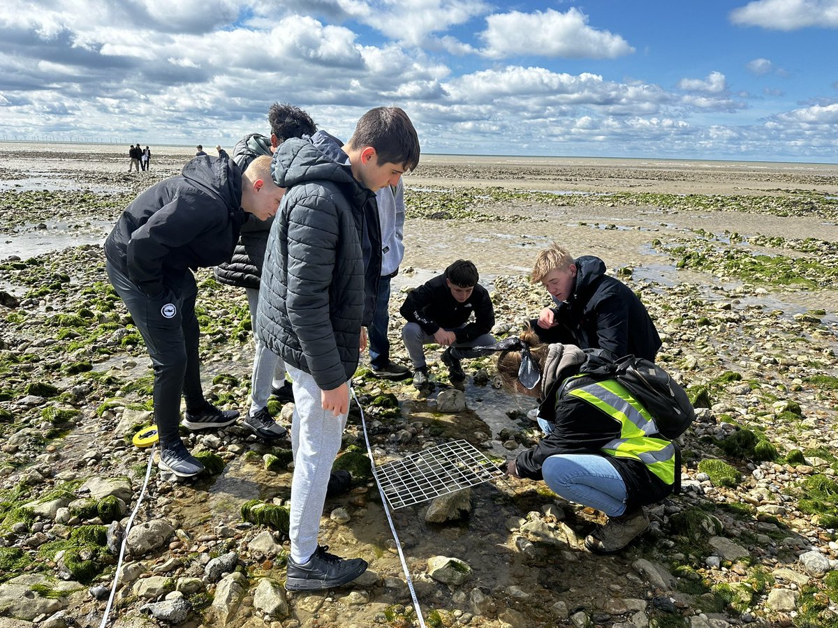 StRomerosCS's tweet photo. Year 10 had a great morning completing their Ecology Required Practical at Goring Beach. We are so lucky to have such a fabulous local free resource. ππΌβοΈπ#teamromeros #gcsescience https://t.co/G8PIQc2UaR