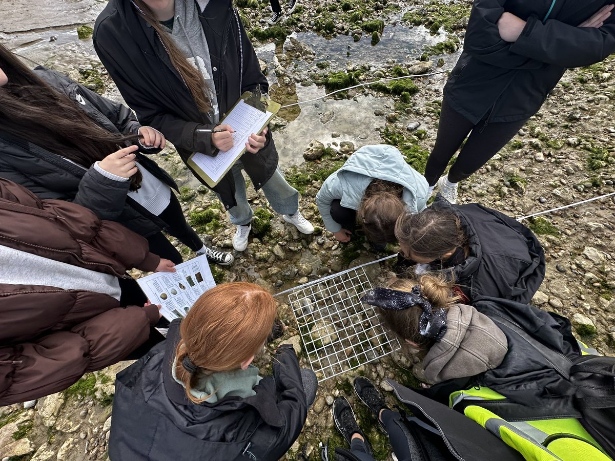 StRomerosCS's tweet photo. Year 10 had a great morning completing their Ecology Required Practical at Goring Beach. We are so lucky to have such a fabulous local free resource. ππΌβοΈπ#teamromeros #gcsescience https://t.co/G8PIQc2UaR