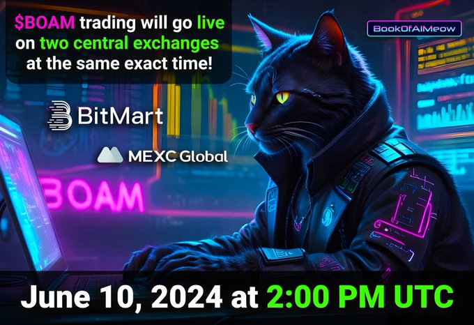 IridonCristian's tweet photo. @KateMillerGems $BOAM has the 1000X potential. 36K TG members and 5.6K holders. And soon...👇 https://t.co/MIpnZog1Xz