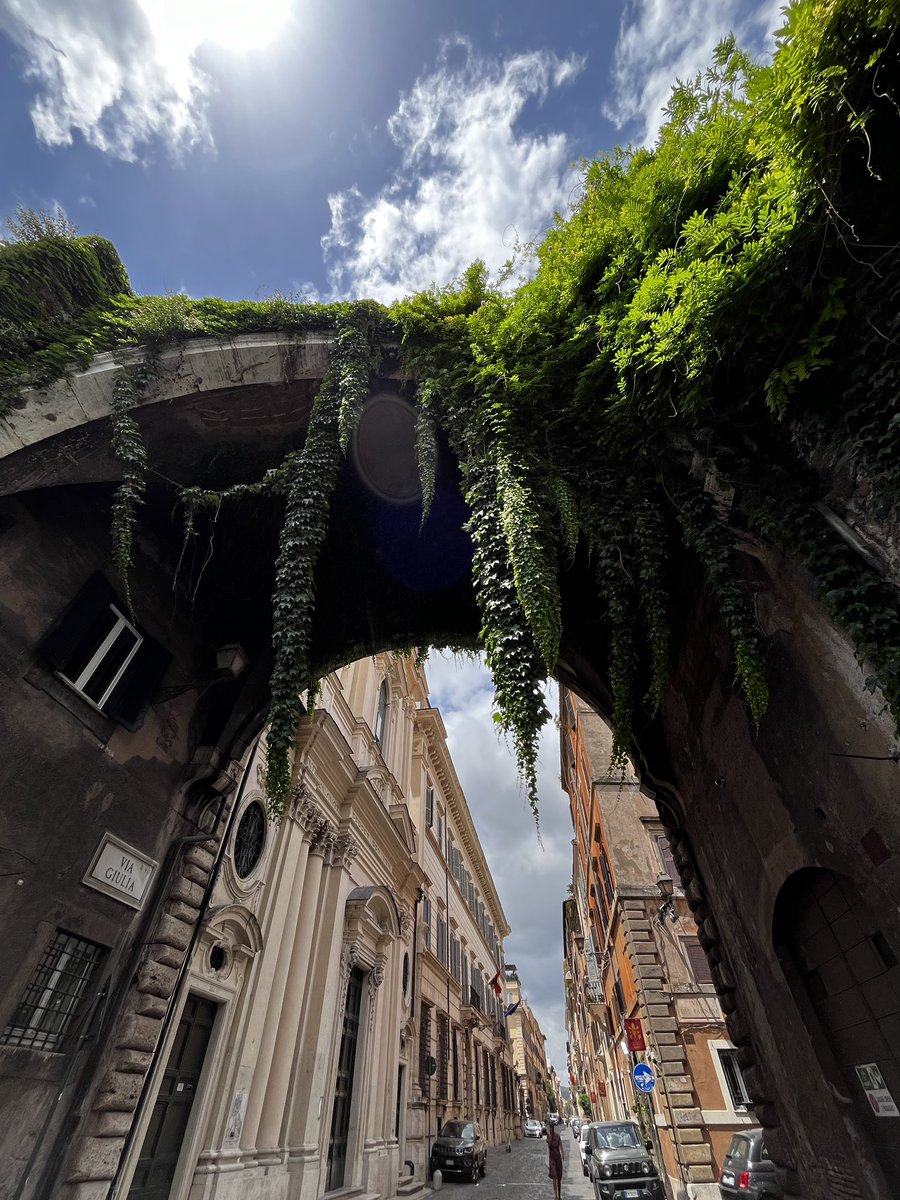 coachoc5's tweet photo. When in Rome https://t.co/Qx5IGH9jL8