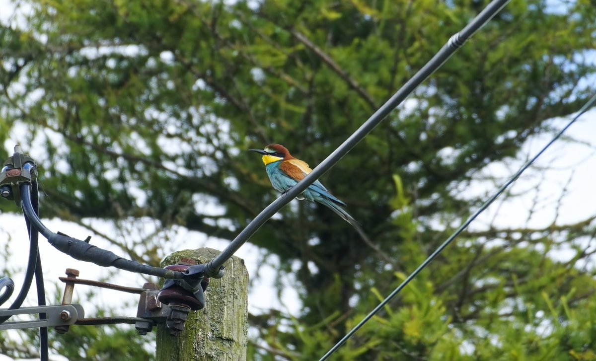 Pete Winn tweet media