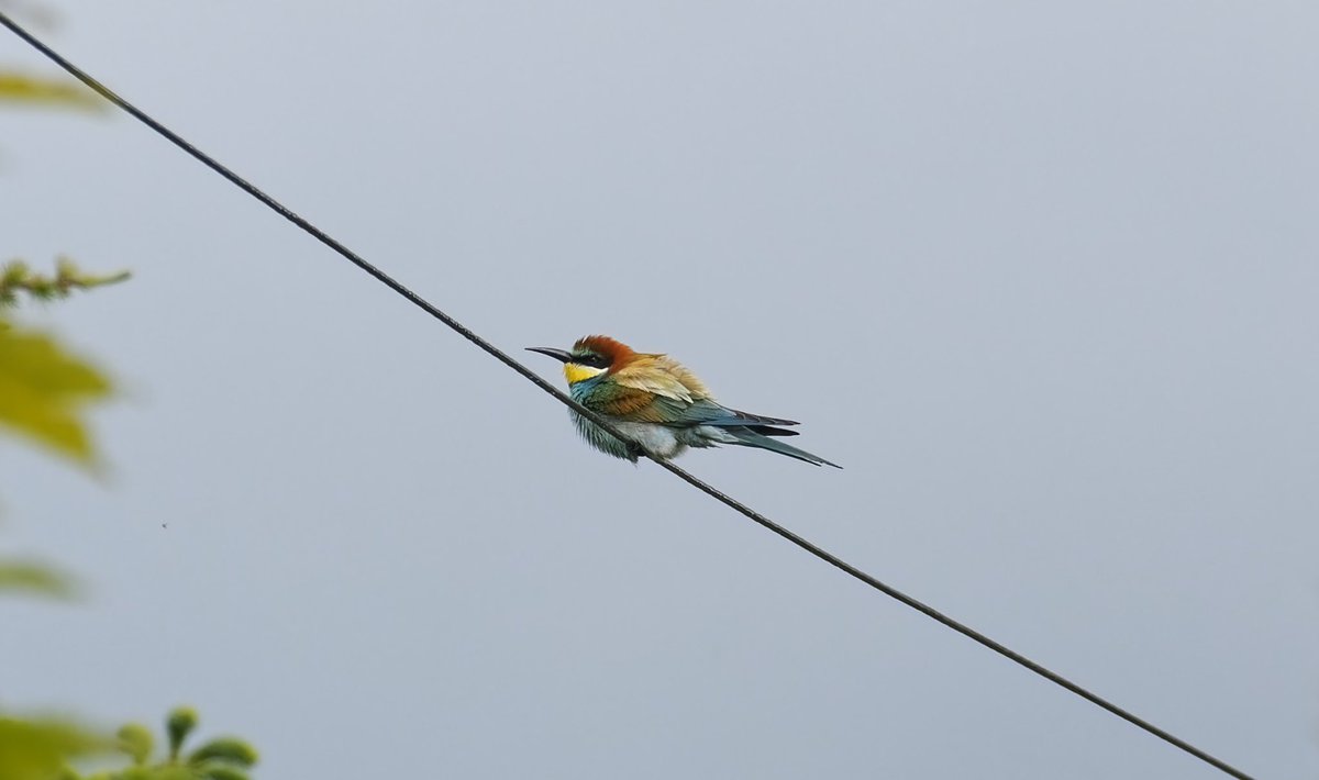 Pete Winn tweet media