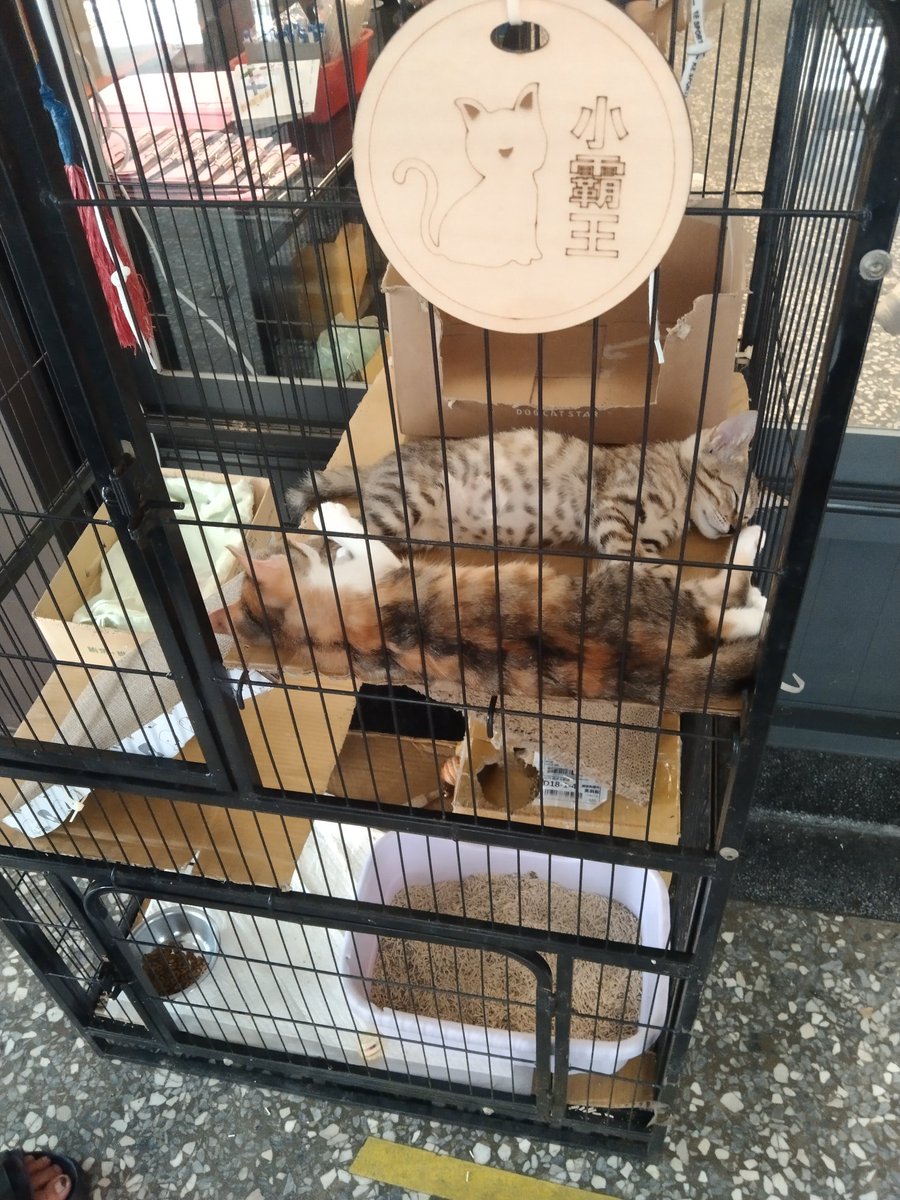 Death丶幻影 (@deathphantom44) on Twitter photo 