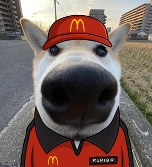 KuriboCoin's tweet photo. @artsch00lreject wagmi bros $kuribo

https://t.co/4EDUWBJ0Ub https://t.co/U1FW21M71G