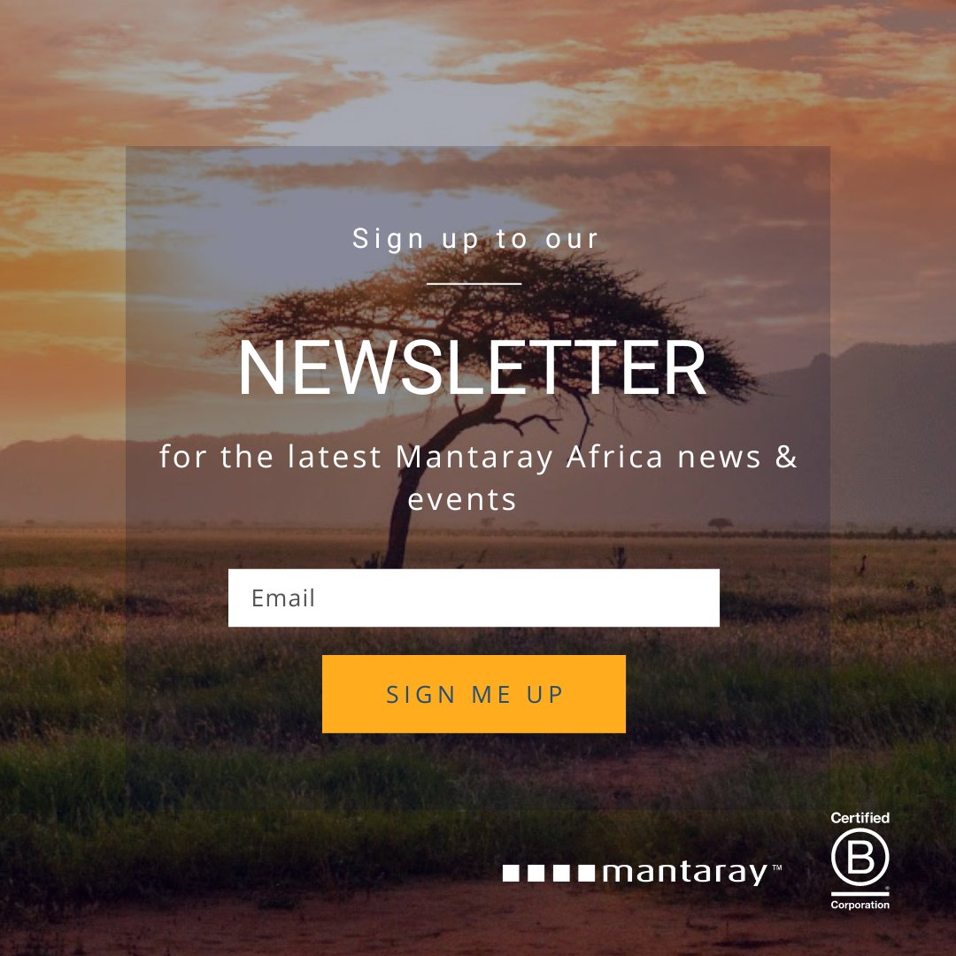 😊 Get the latest news on our UX Research, insights and events in your mailbox!
Sign up to our newsletter here 👉  eepurl.com/iFY2bc