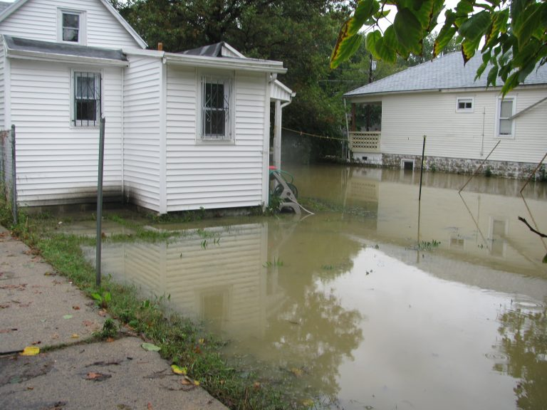 @sewagefreenj tweet media