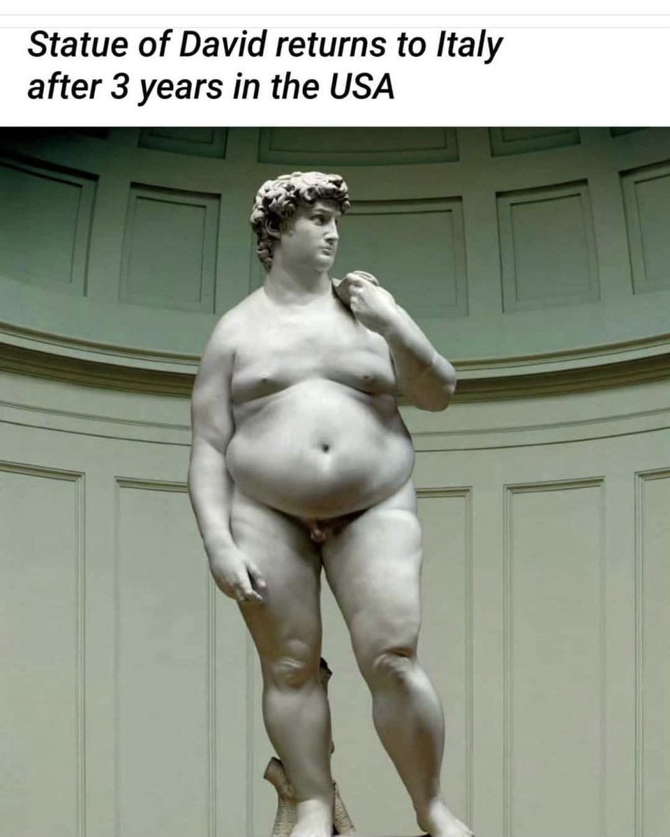 david pook tweet media