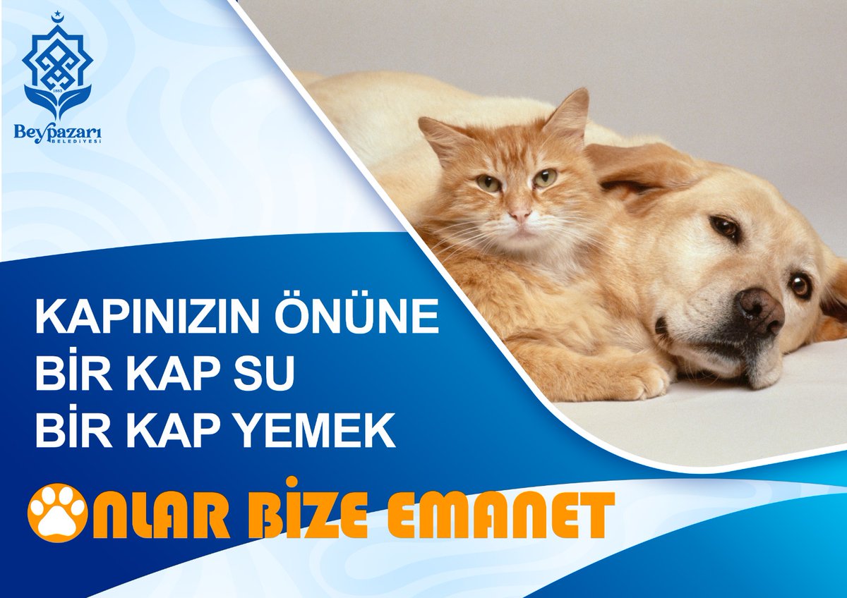 Beypazaribeltr's tweet photo. Yaz aylarının yaklaşmasıyla birlikte hava sıcaklıkları artmaya başladı. Herkesin küçük bir katkısı, büyük farklar yaratabilir. Sevimli dostlarımız için kapı önüne bir kap mama ve bir kap su koymayı ihmal etmeyelim.

#sokakhayvanları #sahipçıkıyoruz https://t.co/fxOEXdRBVk