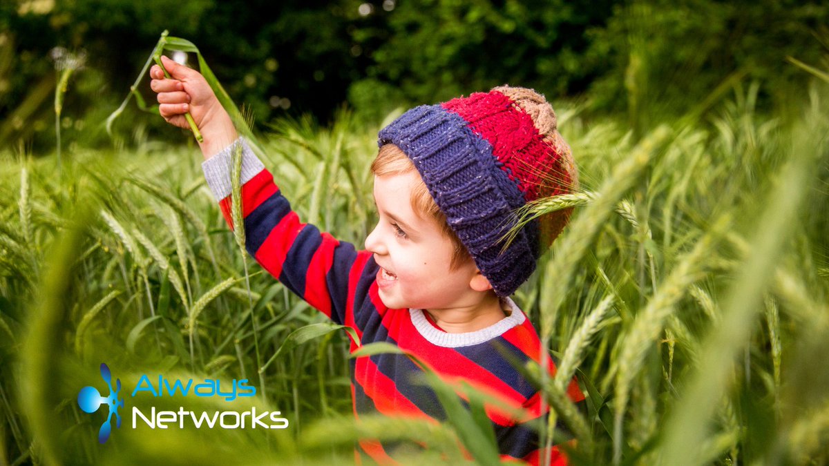 AlwaysNetUK's tweet image. New Windows 11 update alert! 🎉 Enjoy smoother daily tasks with drag-and-drop support in the File Explorer address bar. Easily manage your files and enjoy performance boosts. Update now via Settings &amp;gt; Windows Update. Need help? We’re here for you! #BarnsleyIsBrill #FileExplorer