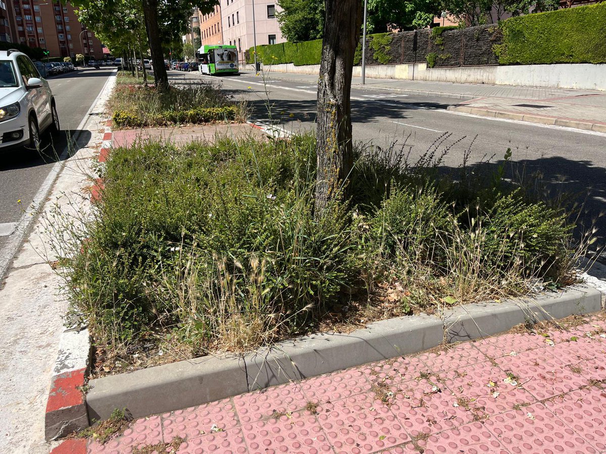 PSOE_AytoVLL's tweet photo. Los concejales del Grupo Municipal Socialista @herreropedro @velezpsoe y @RRViosca han comprobado hoy en Parquesol , junto a la Asociación de Vecinos @ciudadparquesol la falta de mantenimiento  y la suciedad de algunos espacios públicos https://t.co/ceoBLrC8Te