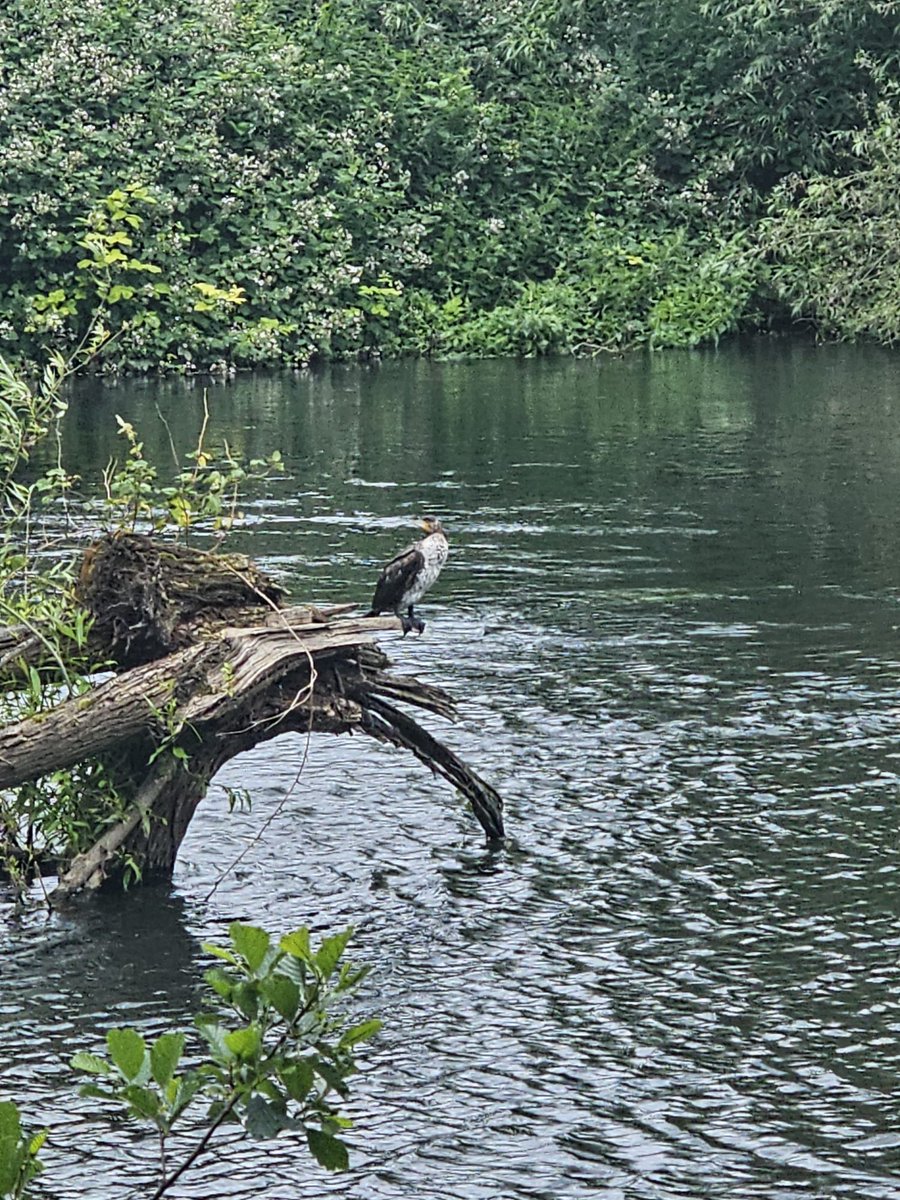 RBAGeography's tweet photo. Year 7s having a wonderful time at the River Lea on the geography trip. https://t.co/jtXMANz3zZ