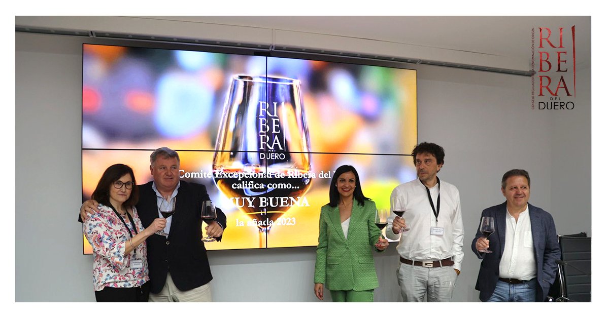 DORibera's tweet photo. "La añada 2023 ha sido Muy Buena". Con estas palabras, Alfonso Sánchez, secretario General del Consejo Regulador de la DO Ribera del Duero, ha anunciado la calificación técnica anual de nuestra cosecha.

#riberadelduero #cosecha2023 #viticultura #añada https://t.co/KlH2mJkkKz