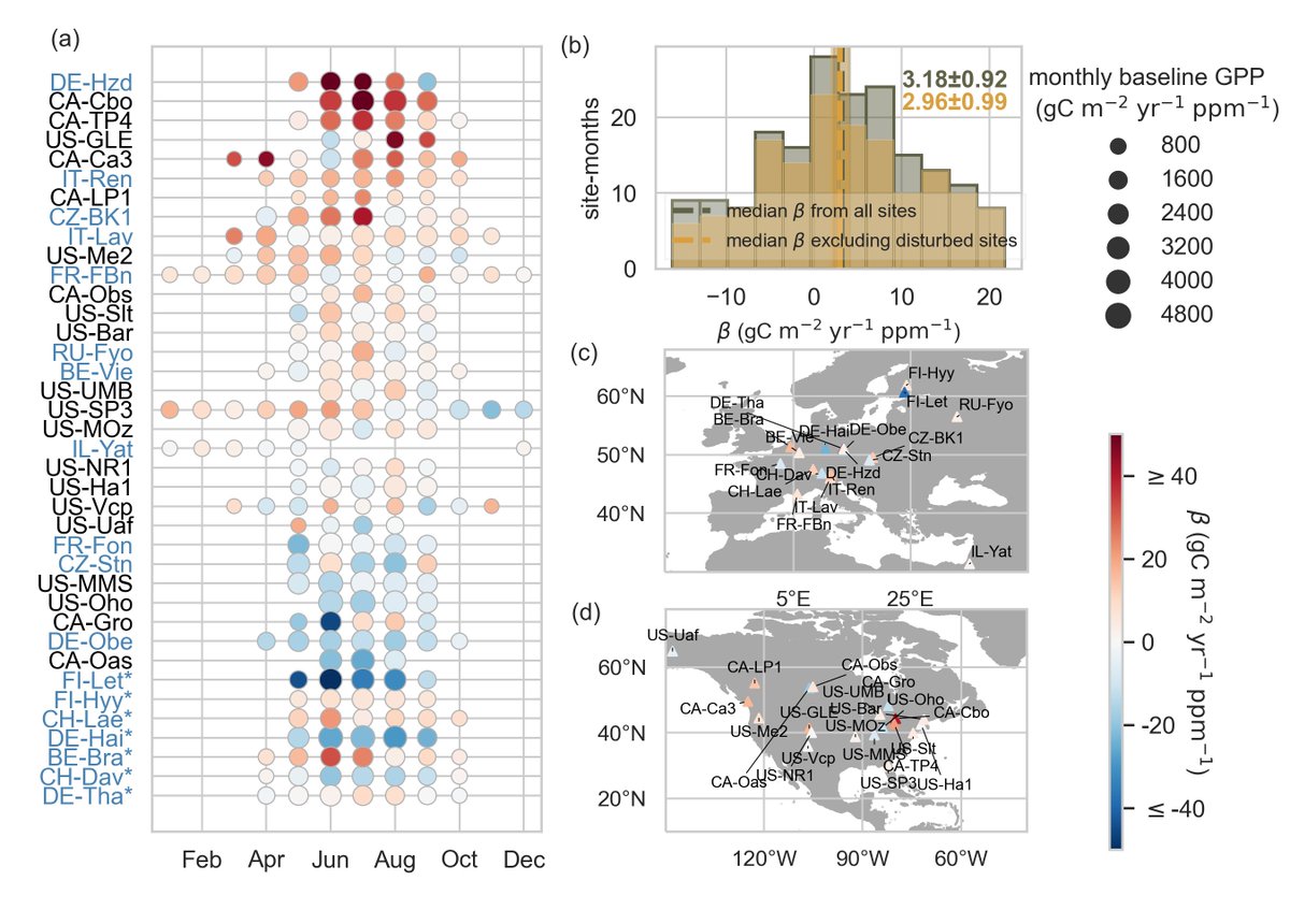 Our new paper in <a href="/JGRBiogeo/">Journal of Geophysical Research: Biogeosciences</a> shows a ~16% increase in photosynthetic carbon uptake for a 100 ppm rise in atmospheric CO2. agupubs.onlinelibrary.wiley.com/doi/epdf/10.10…
Many thanks to collaborators @hydrOrth_lab @ Hui Yang <a href="/Reichstein_BGC/">Markus Reichstein</a> <a href="/soenke_zaehle/">Sönke Zaehle (@soenke_zaehle@mas.to)</a> @mdekauwe82 <a href="/anjarammig/">Anja Rammig</a> @ Alexander J. Winkler