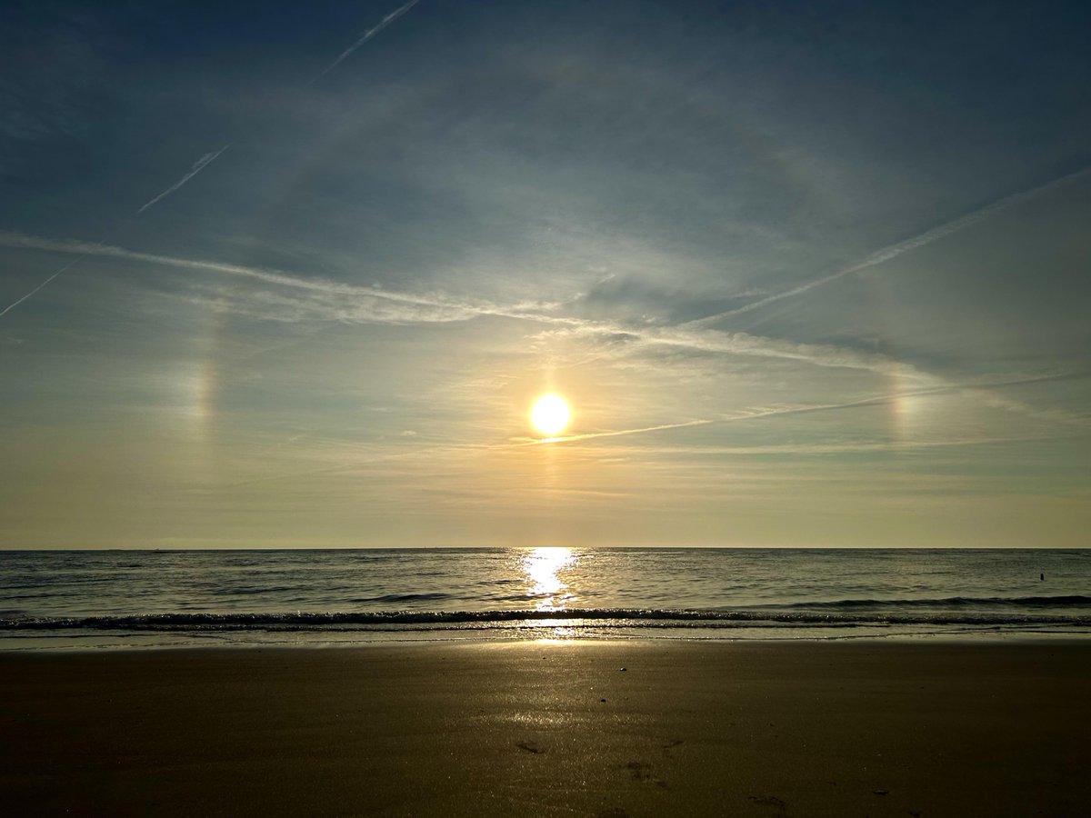 Eternal Explorer tweet media