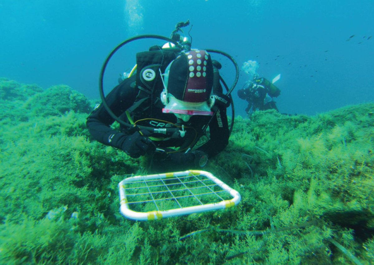 📯Sono aperte le iscrizione per l'ottava edizione della Scientific Diving Summer School di Panarea 
📅18-23 sett
📌ECCSEL NatLab-Italy, Panarea 
🤿Dettagli e form per iscriversi: ogs.it/it/notizie/ape…
⚠Scadenza: 19 luglio 2024 ⚠