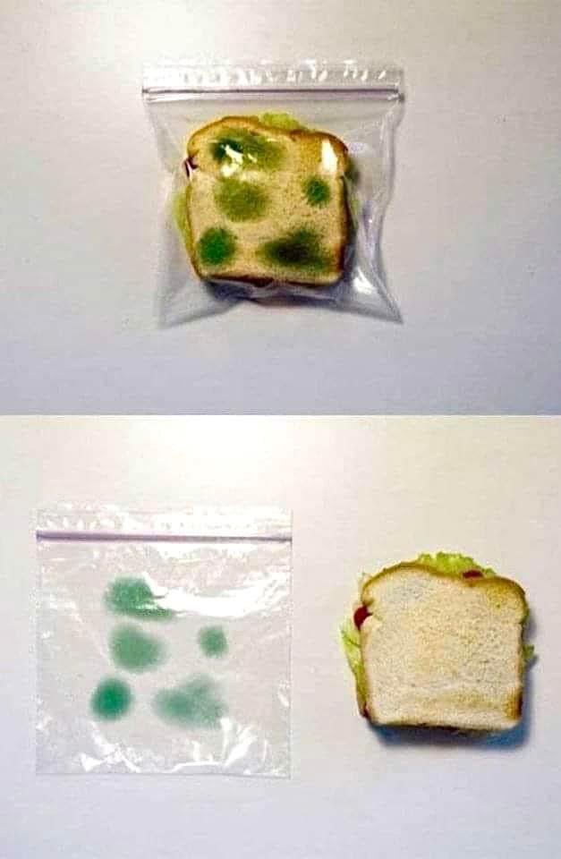 drdavidfriedman's tweet photo. A great way to keep people away from your food.
#FoodForThought #lunchtips #Foodies #LOL #kitchenhacks #laughter https://t.co/nVnynPX11p
