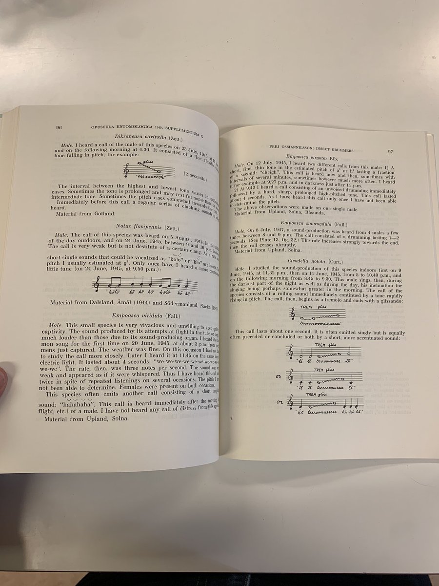 fevziyehasan's tweet photo. Insect Drummers! Pleasant book I found in the entomology collection at @UU_University #Evolutionsmuseet - made me think of advances in technology with current acoustic monitoring of insect biodiversity. It all started with a violin and a tuning fork!
Frej Ossiannilsson says:
“For determining pitch I made use of comparison with the violin, when possible. During my travels I was compelled to be content with comparing with a tuning-fork. Of course these determinations of the pitch are but approximate, and when I used the tuning-fork only, a certain cause of uncertainty was present, viz. the difficulty of finding out the correct octave.”