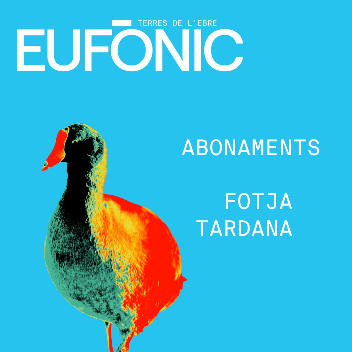 eufonic_fest's tweet photo. Ja a la venda els abonaments "Fotja tardana" #Eufònic2024 per a UN DIA (dv. 12 o ds. 13 de juliol, 30€) o per a DOS DIES (48€).

Els abonaments donen dret a l’accés a totes les activitats de pagament a #Amposta: al Casal, La Lira i de nit al Castell.
🎟️https://t.co/2JGAGgRv3l https://t.co/5FV5mneTKt