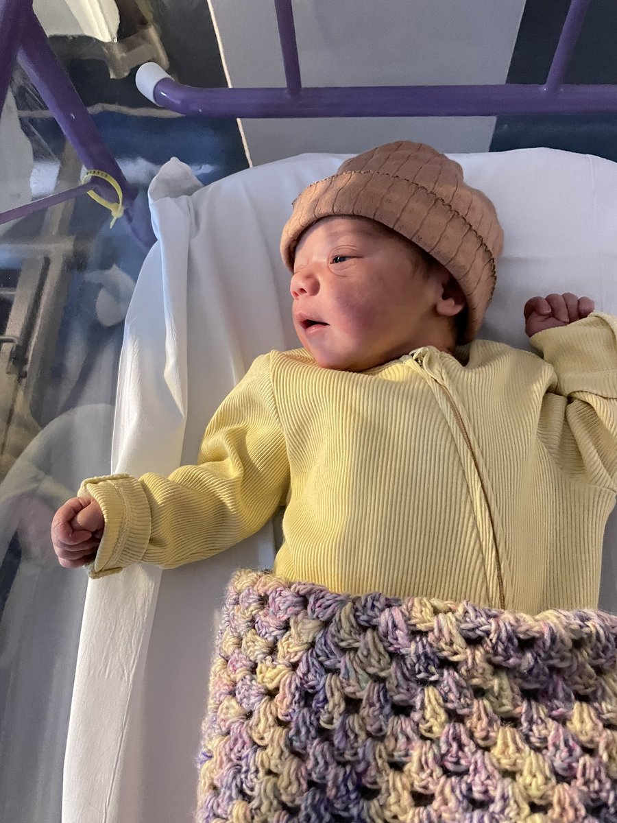 Paris Gourtsoyannis tweet media